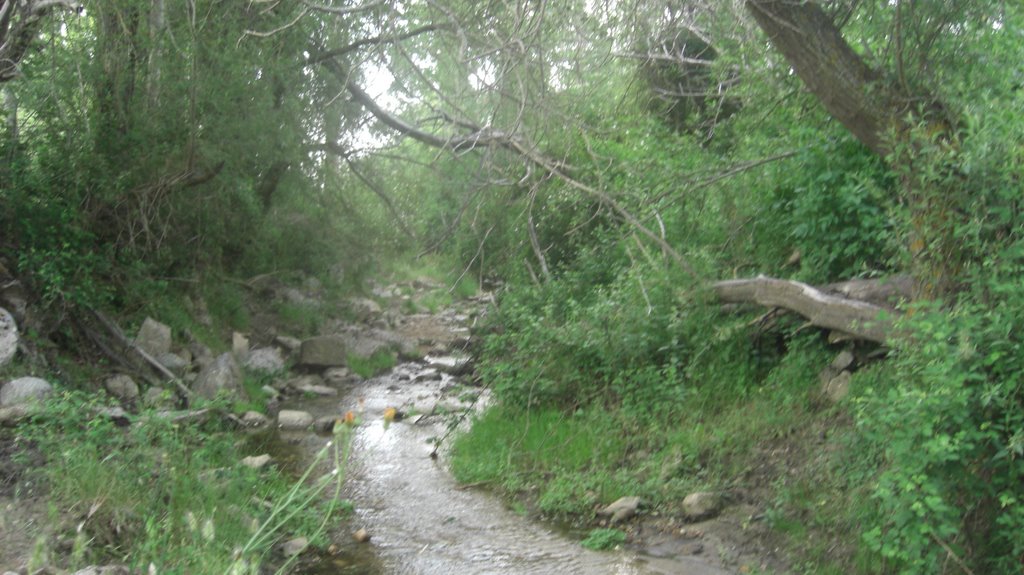 Arroyo Rihondo en Benitos by zaarbil