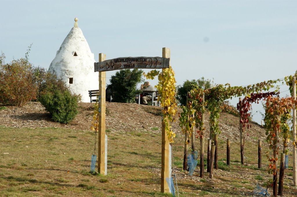 Wein-Lehrgarten am Flonheimer Trullo by wolfbam