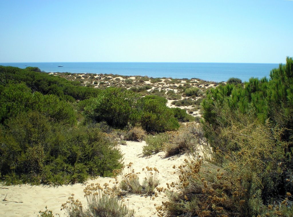 Playa de Los Enebrales, coastal dunes - August 2008 by Roberto Bubnich