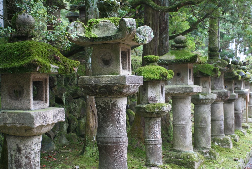 Kasuga temple, Stone lamps by Dror Ben David