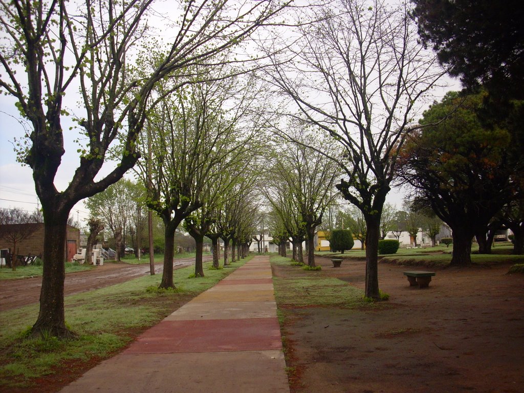 Plaza Gral. Roca by JoseluisRUEDA