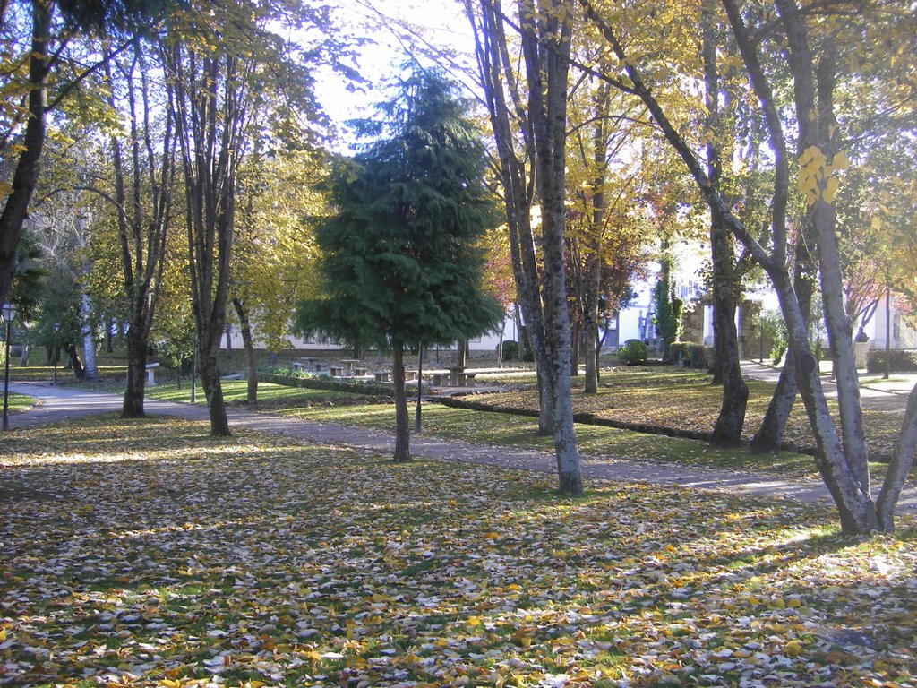 Outono - Parque Municipal de Arouca (2008) by Paulo Jorge Duarte