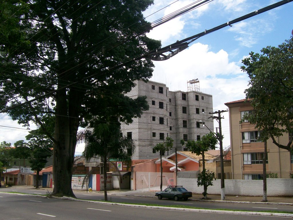 O predio e a arvore na avenida by Marcio José de Lima