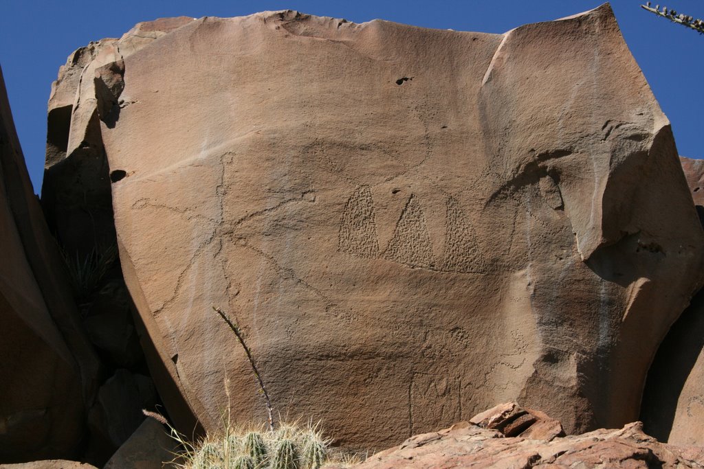 Petro Glyphs at Boca de Potrerillos by brodarte