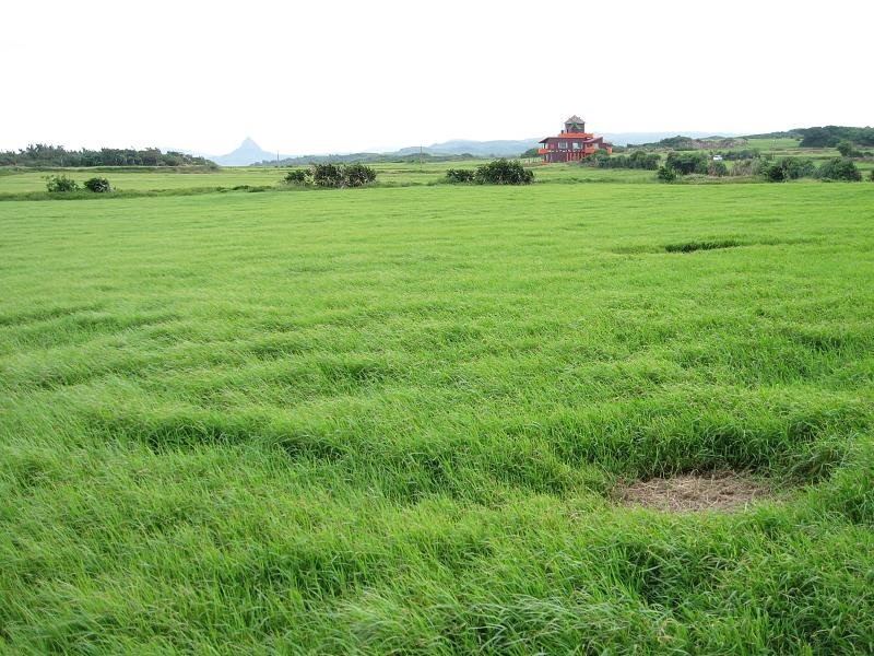 Grassland by Chih-Hao Tsai