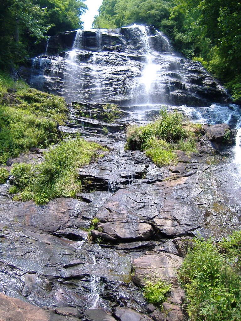 Amicalola Falls State Park by Idawriter