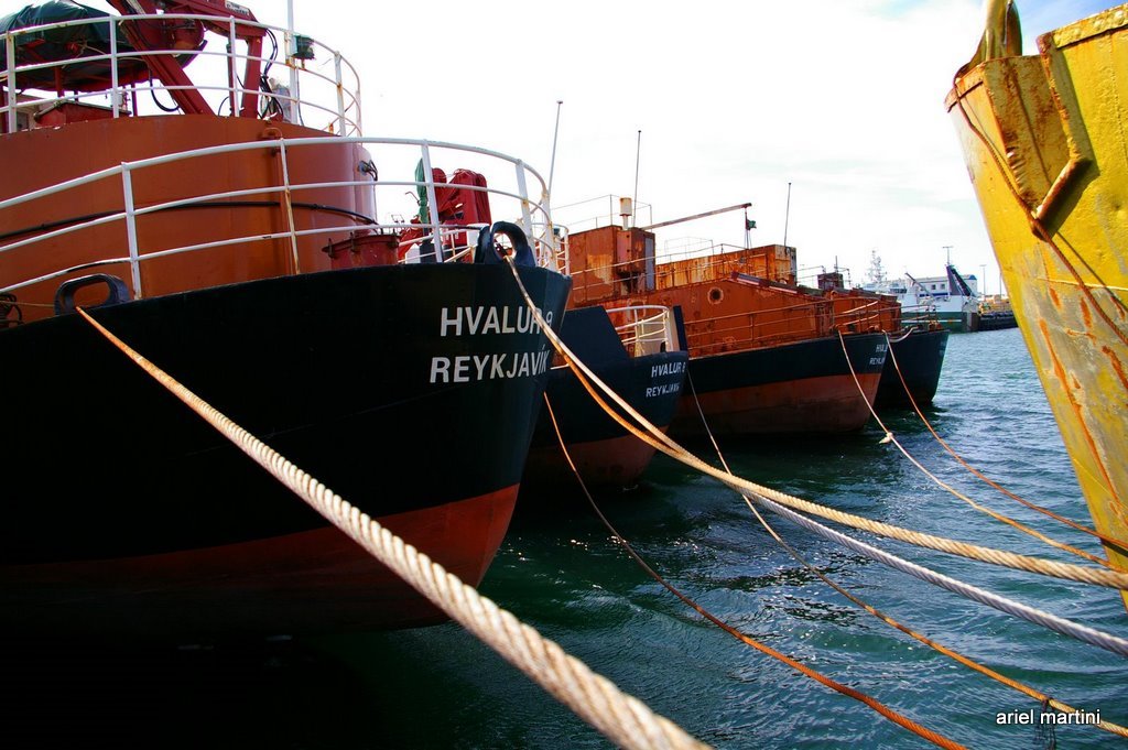 Whalers at reykjavík old harbour, iceland by ariel martini