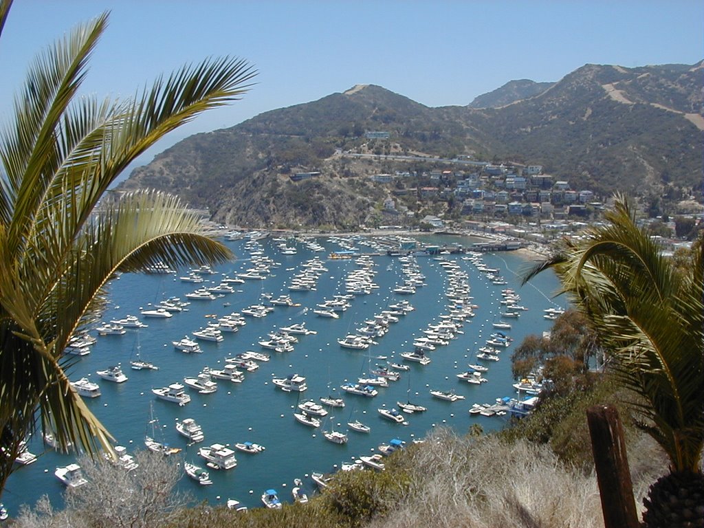 Avalon Bay Catalina Island Califonia by Pindur