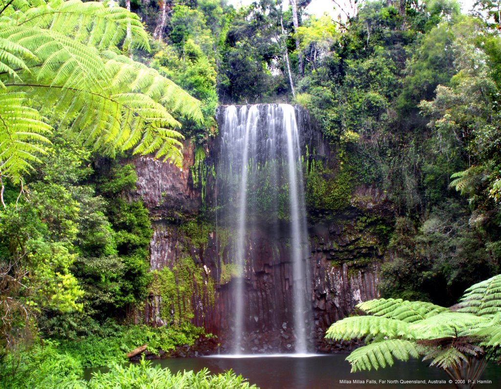 Millaa Millaa Falls, Far North Queensland by P.J. Hamlin