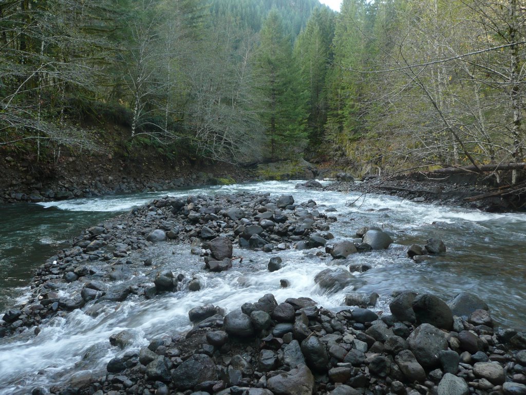 Confluence of Wilson and Elk by Jon N. Powell