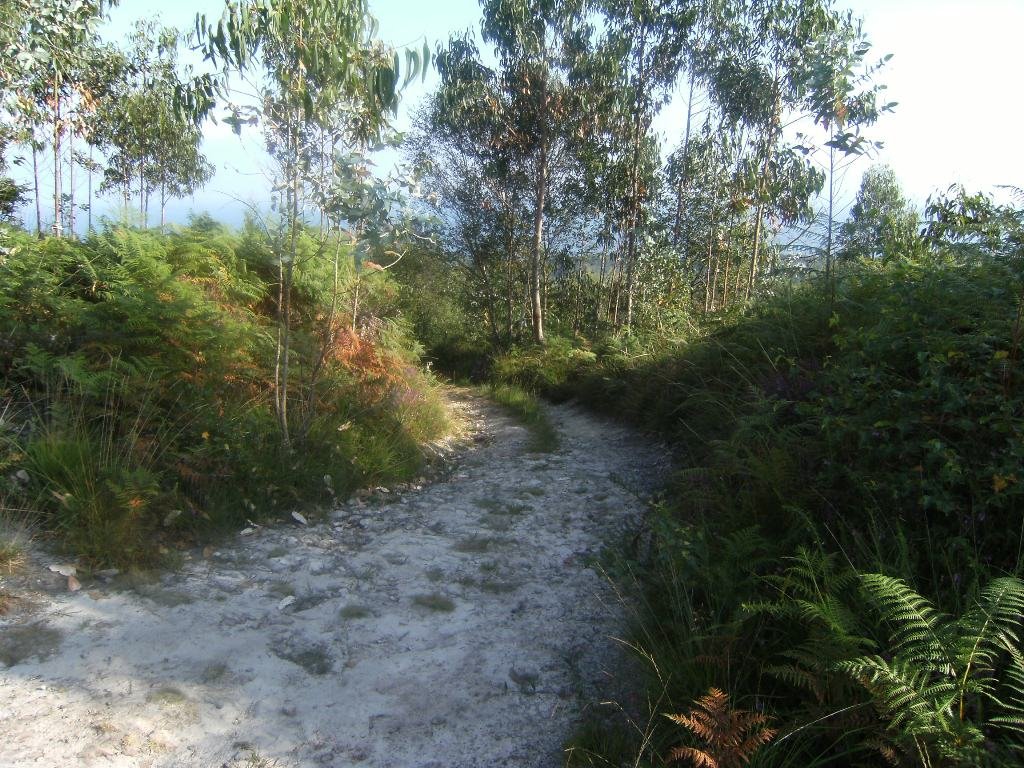 Camino del LLano hacia el by JGS