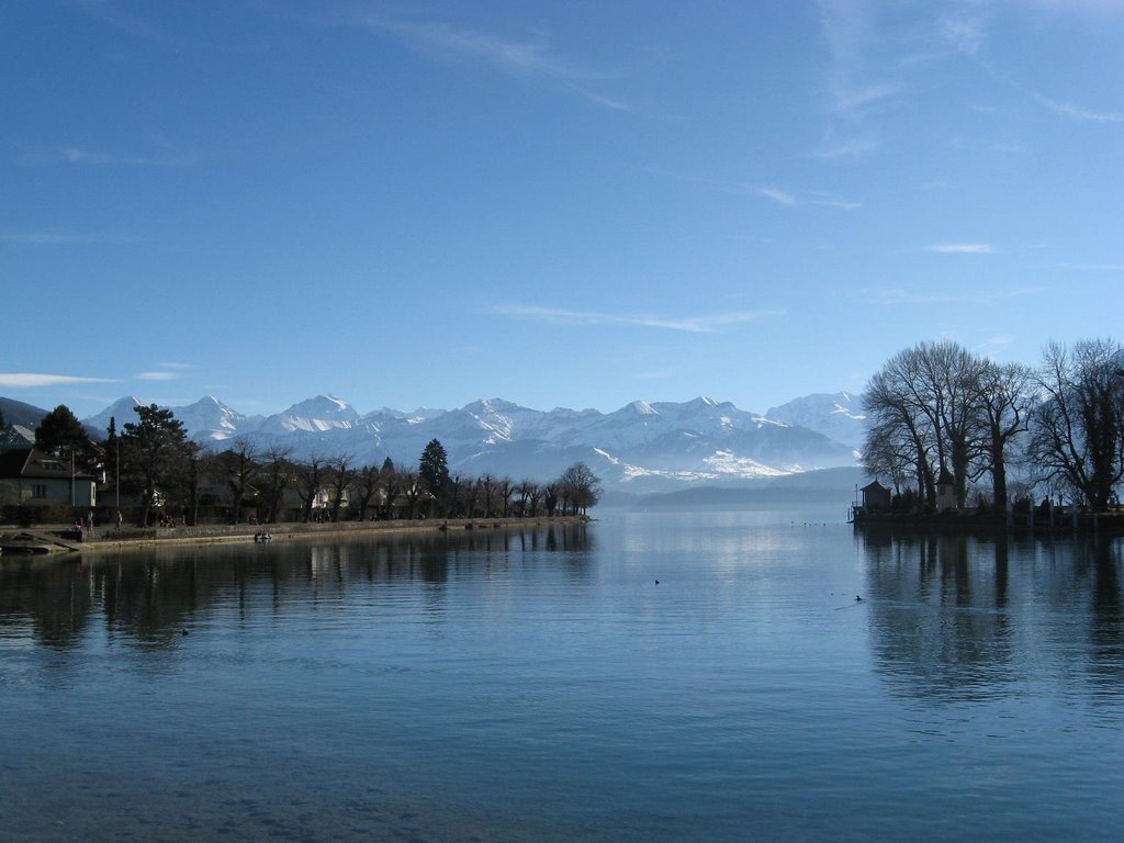 Lake Thun, view over the lake and in the background Eiger, Mönch and Jungfrau by Mister SN