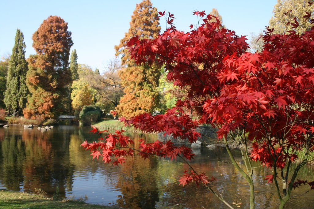 "Indian Summer" in Stadtpark Hanau by Dieter Hoffmann