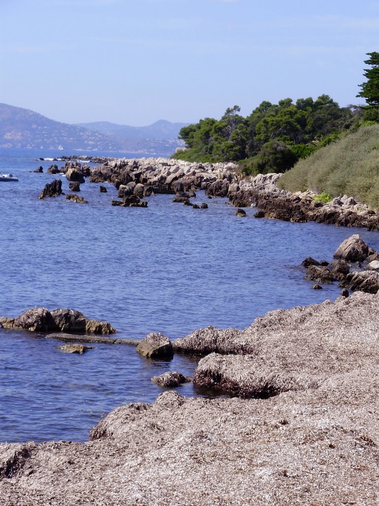 Cannes (Alpes maritimes) ; Ile de Saint-Honorat ; Côte Sud ; Dolomites et dépôts de posidonies [08/09/08] by Pascal Saint-Lot