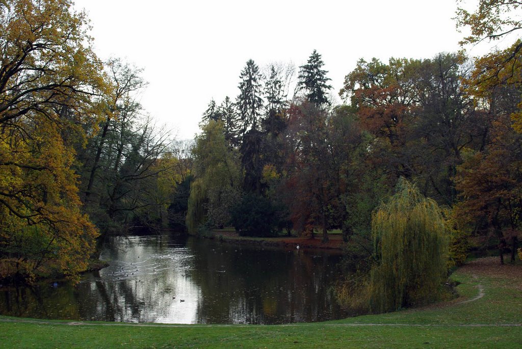 Maksimir, II lake by Neven Cukrov