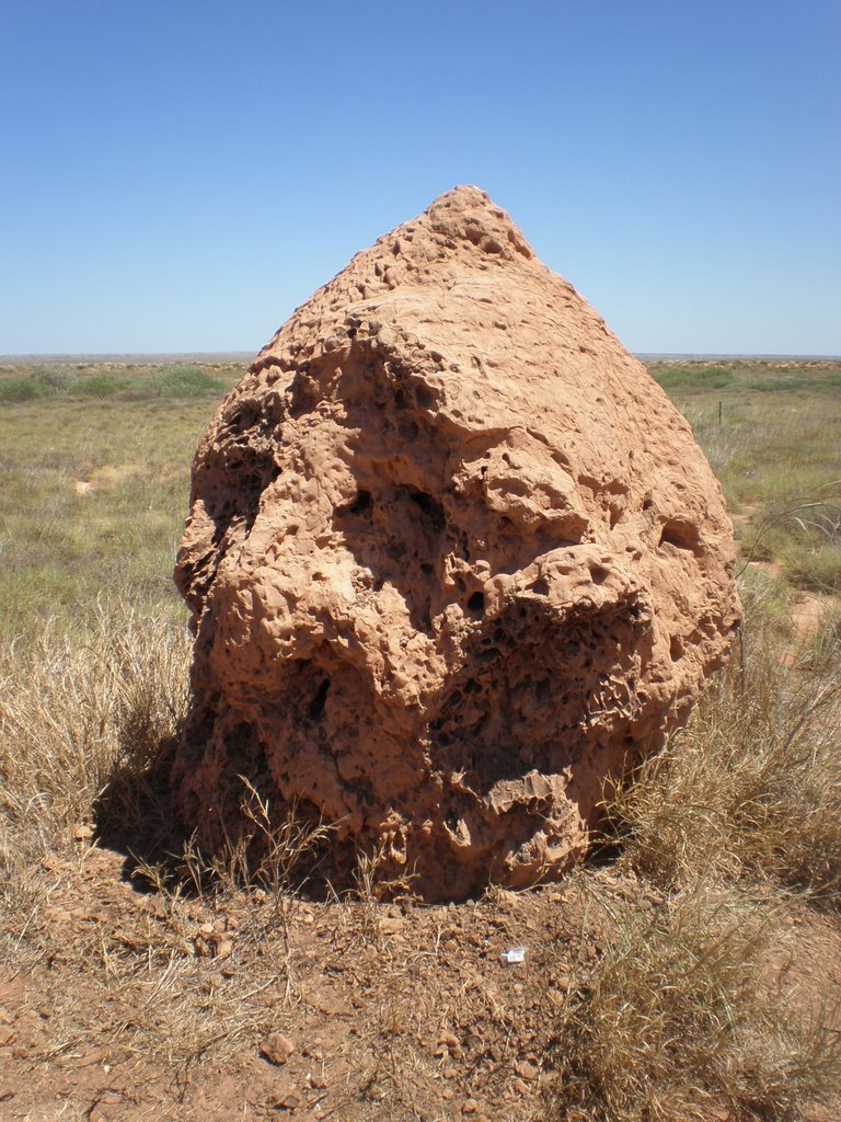 Termite Next, Cape York by graemeandclare