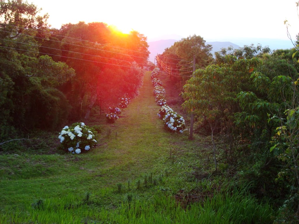 Caminho das Flores by b.lastorina