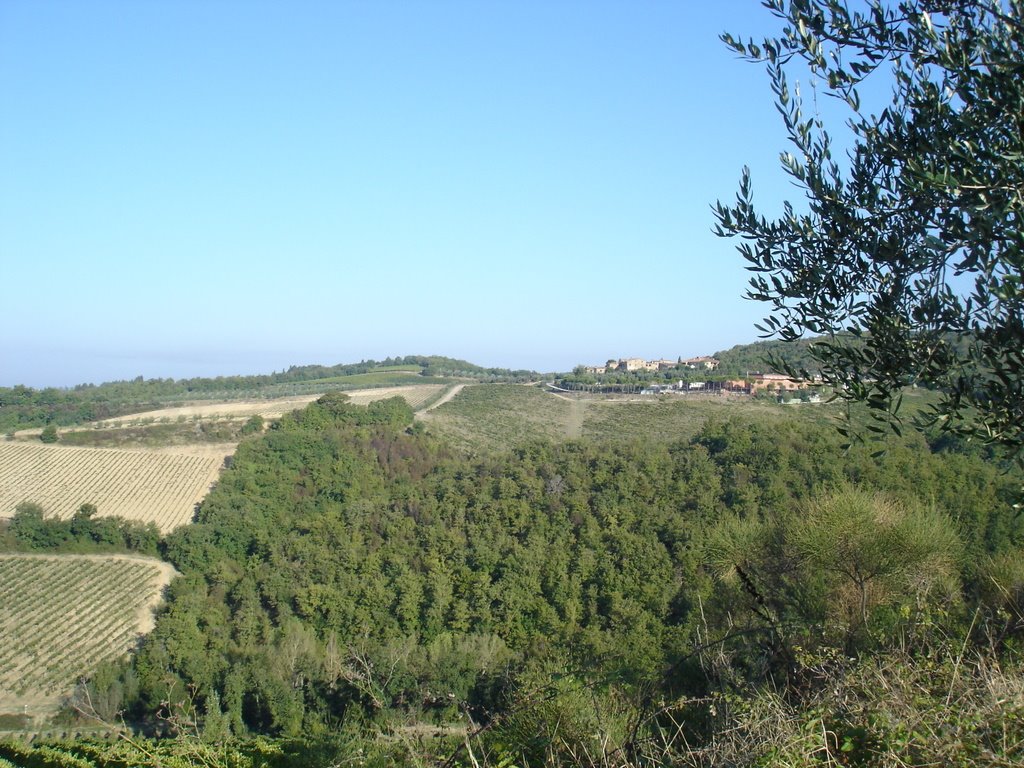 Castellina in Chianti, Province of Siena, Italy by ALPHA HSU