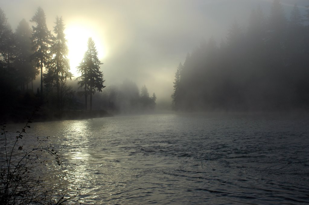 Morning fog on the Tualatin by davehaag