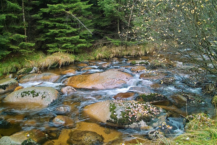 Die Kalte Bode in Schierke by Läser Andreas