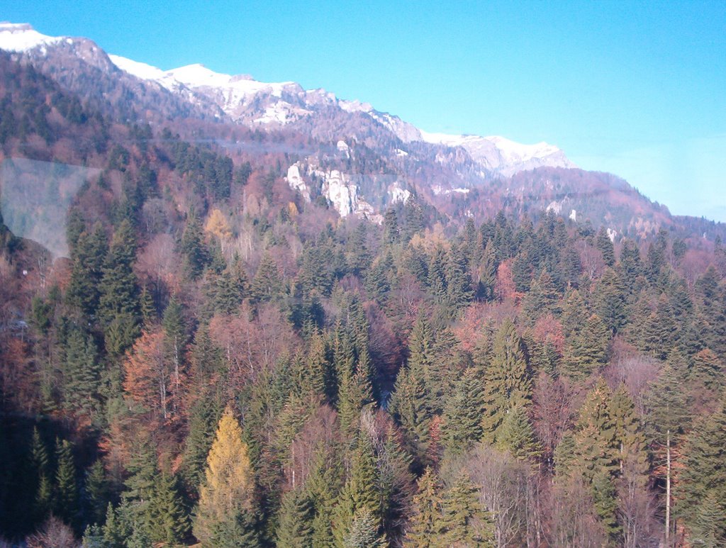 Sinaia, Romania by vikmel