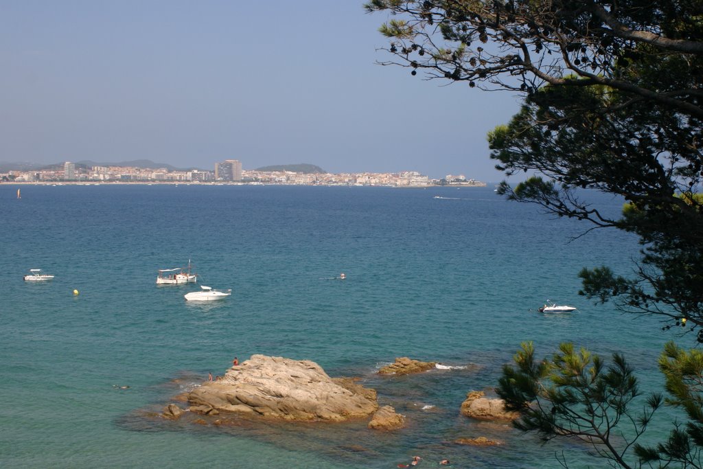 Island in front of Torre Valentina by freddy2007