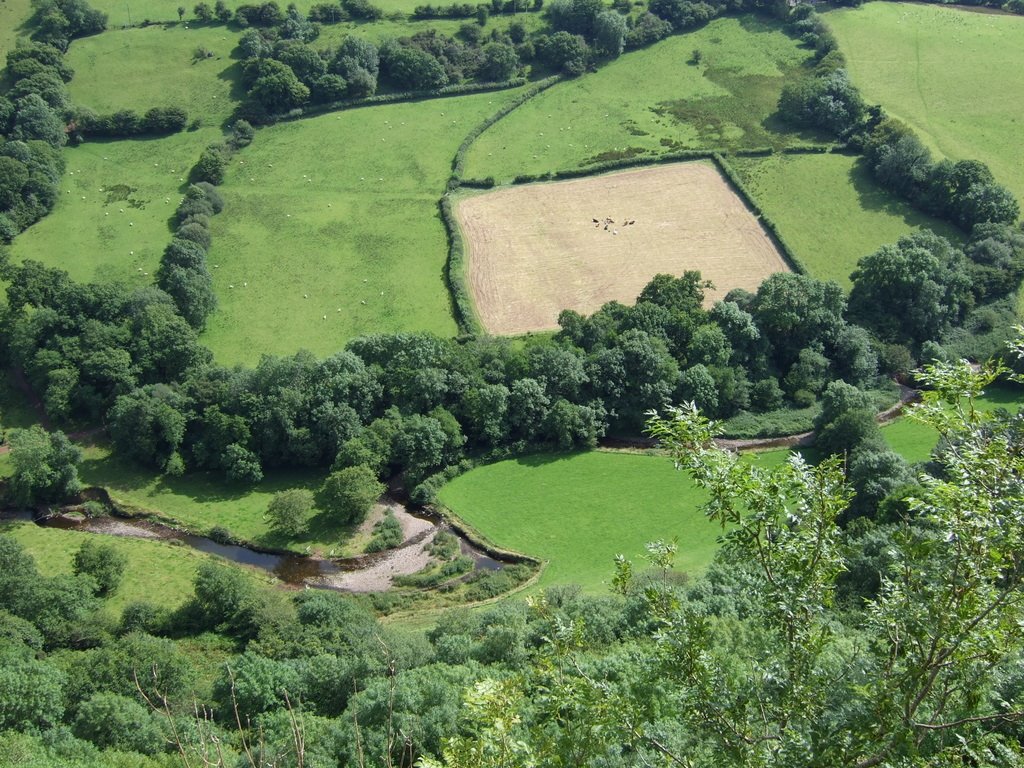 View from Castle Carreg Cennen by Picalicious