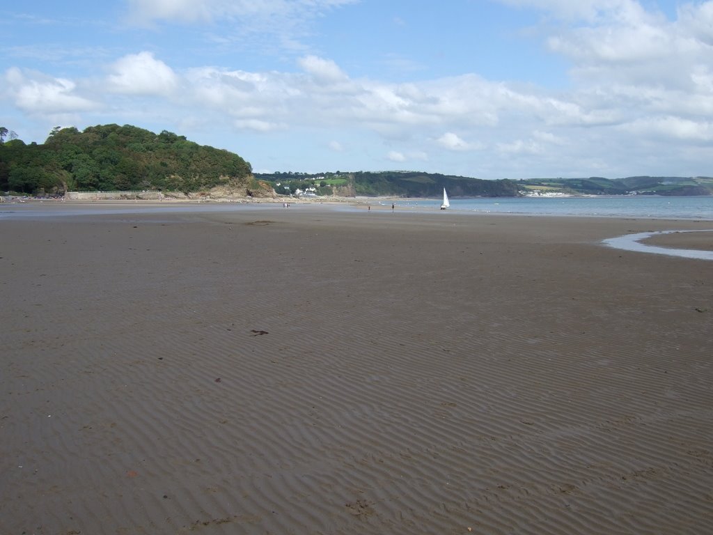 Saundersfoot Beach by Picalicious