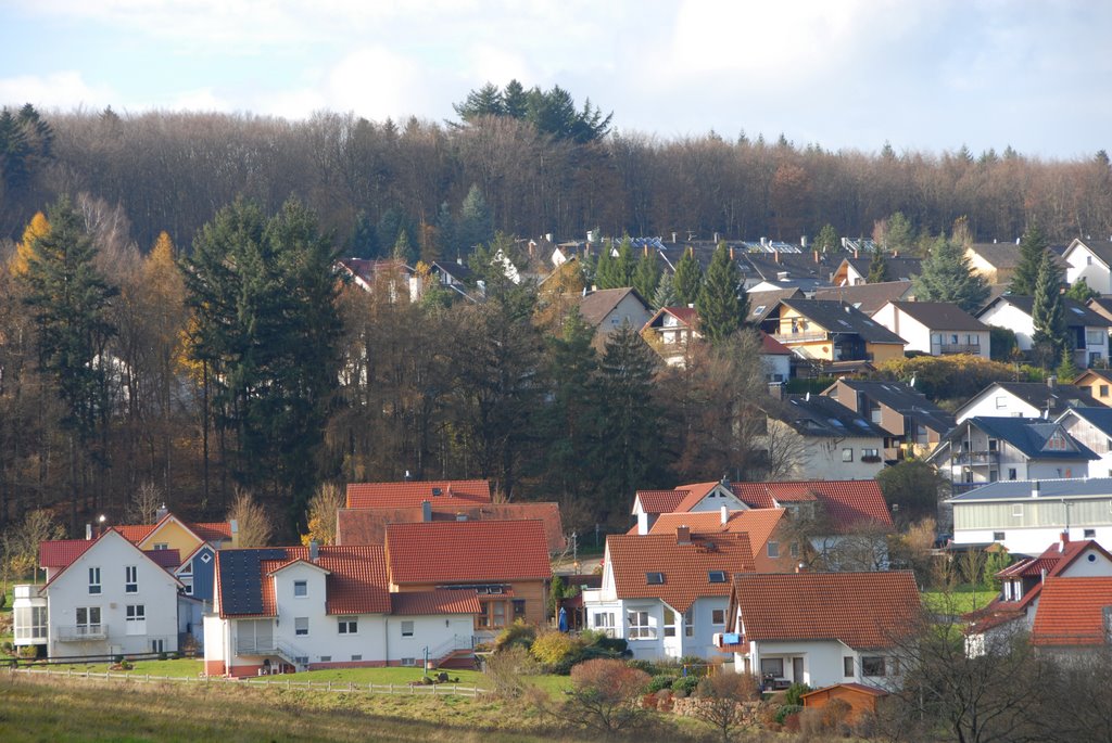 Blick auf Schöllbronn Schwarzwaldring by ocdigital