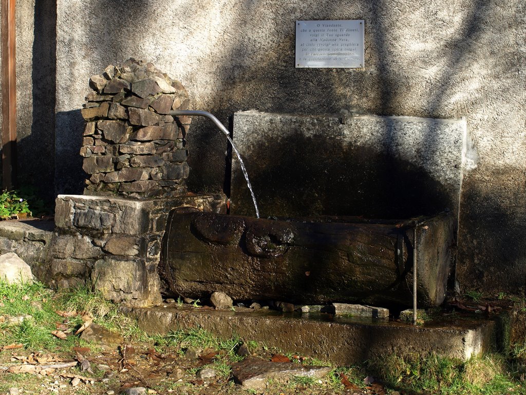 Biella - Oasi di freschezza per il viandante by Giancarlo Ticozzi