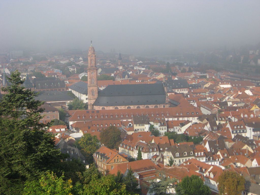 Church of Heidelberg by Flott103