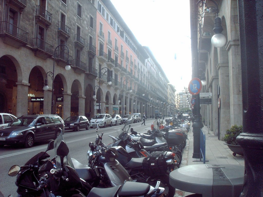 PALMA MOTORIZADA. by Carmen D  Colorado