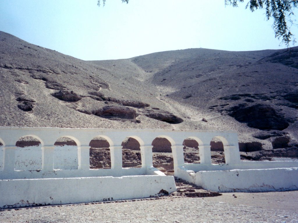 Tarapacá (2002), I Región, Chile. by André Bonacin