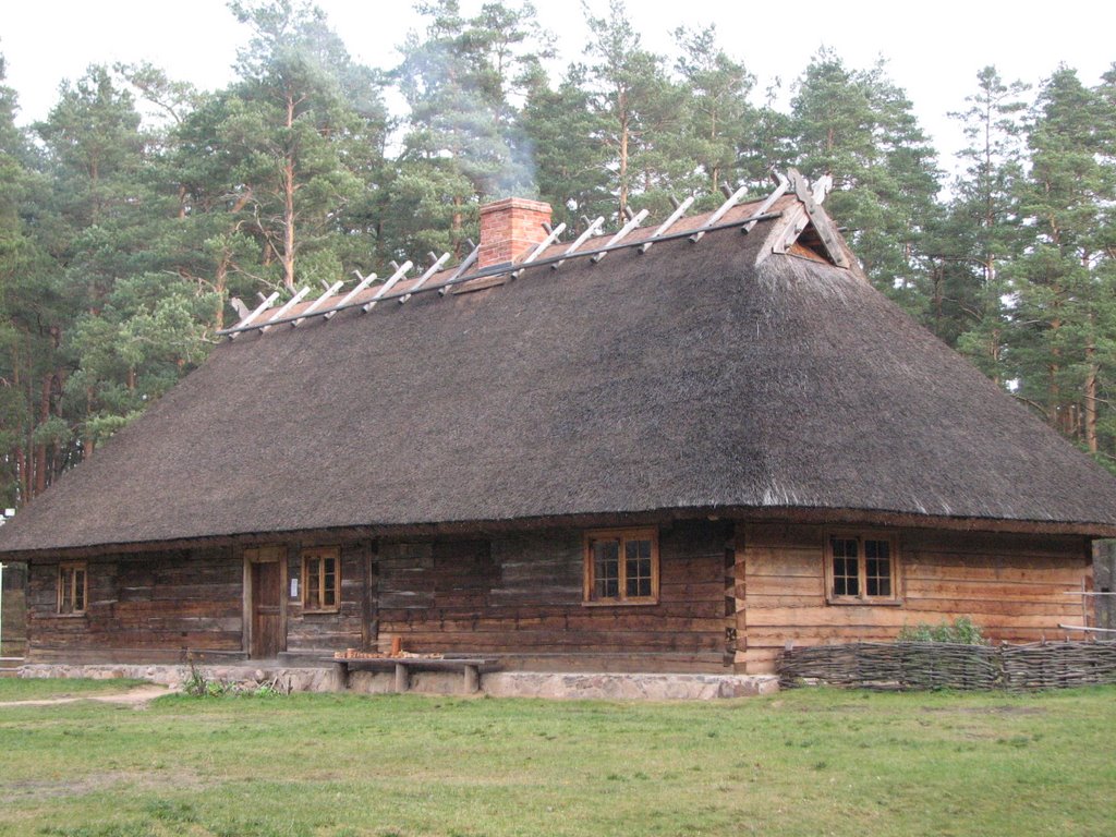 WANDERBAUM IN "DABAS MUZEJS" by Dmitrij Wanderbaum