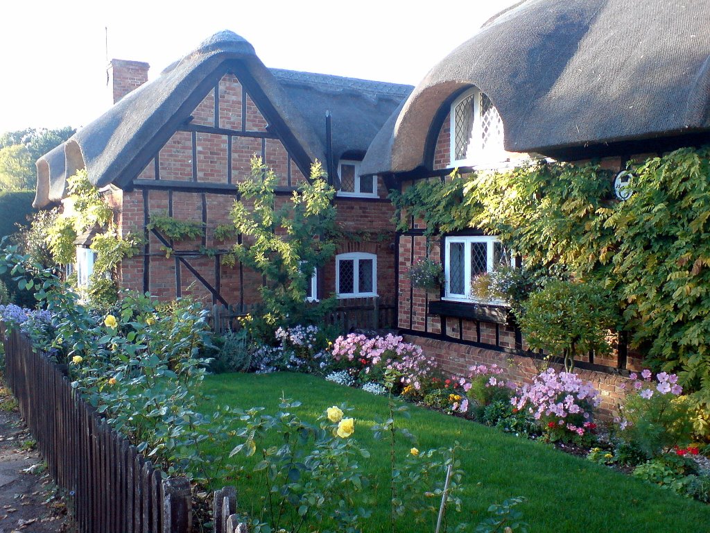 Thatched cottages 2008 by ampthillmark