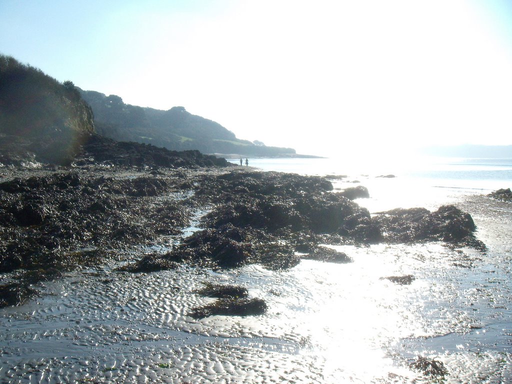 Carrick roads looking South by ampthillmark