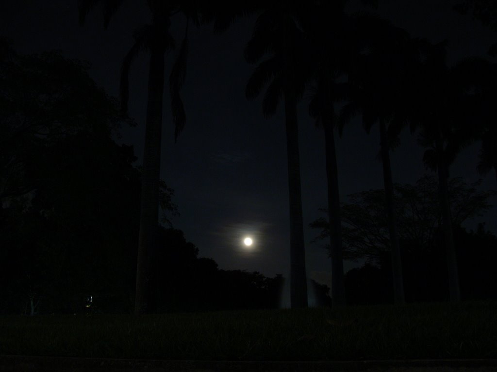 La luna desde el parque by Ivan Sanchez