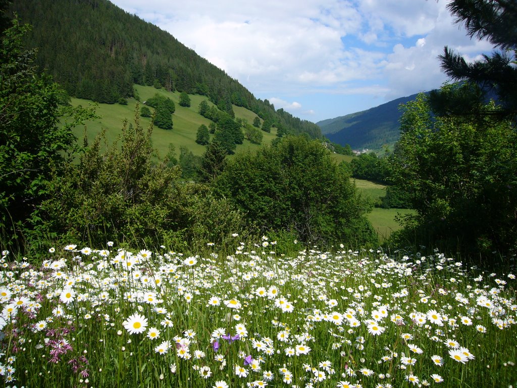 Gemeinde Bad Kleinkirchheim, 9546, Austria by Haakon