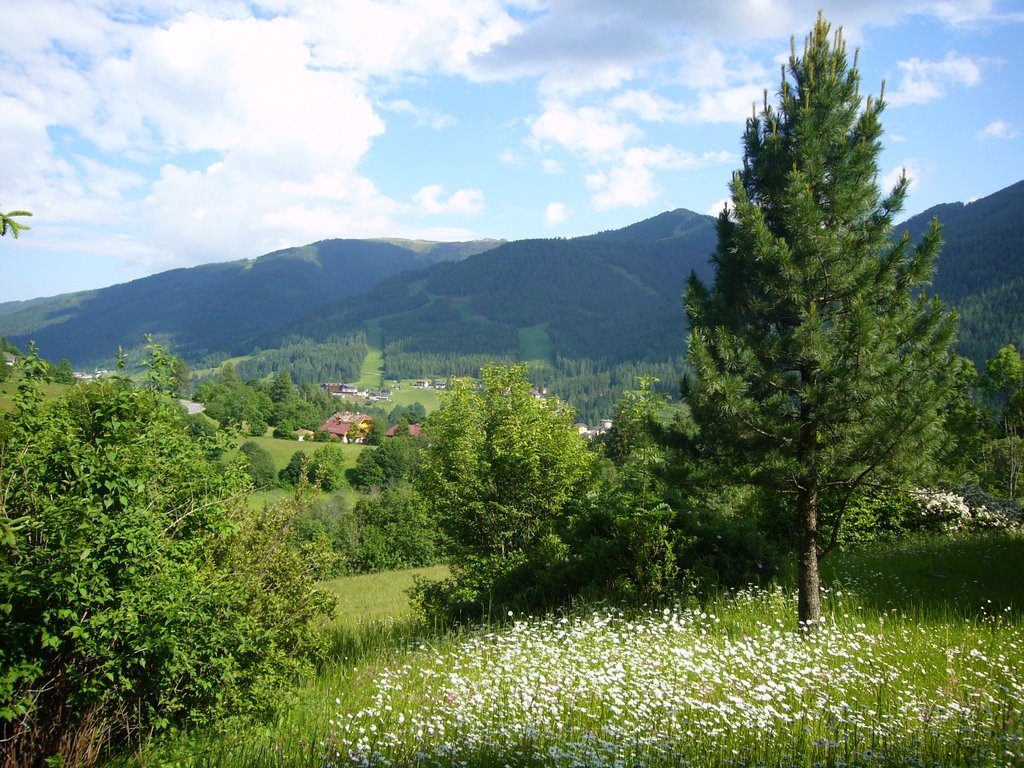 Gemeinde Bad Kleinkirchheim, 9546, Austria by Haakon