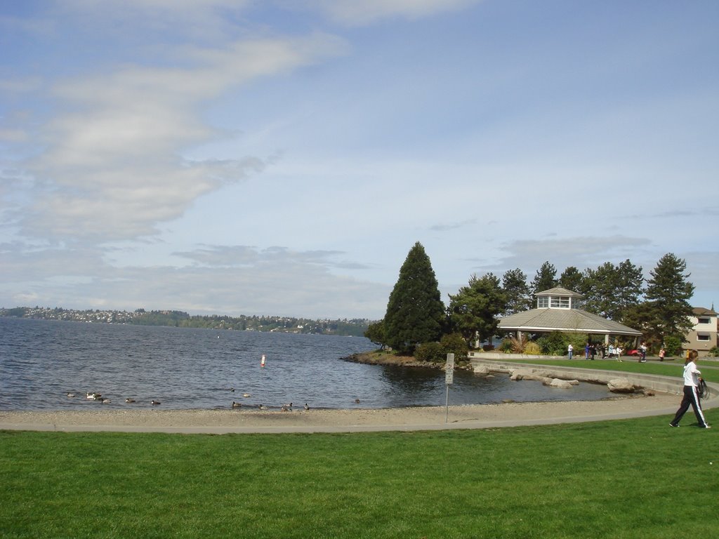 Marina Park, Kirkland by claire819