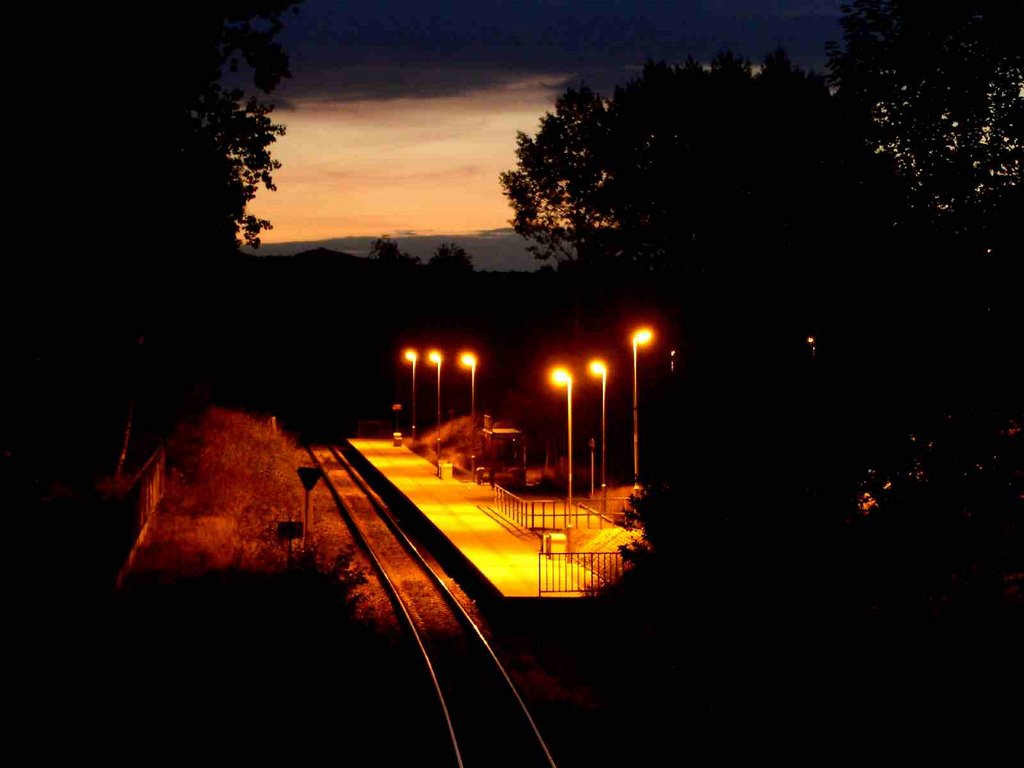 Holý vrch - zastávka (Holý vrch Train stop) by dianhong