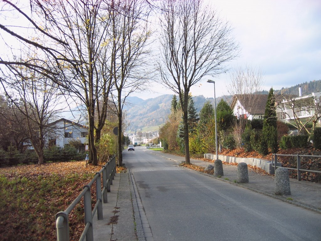 Widnau - fasanenstrasse by alafoxia