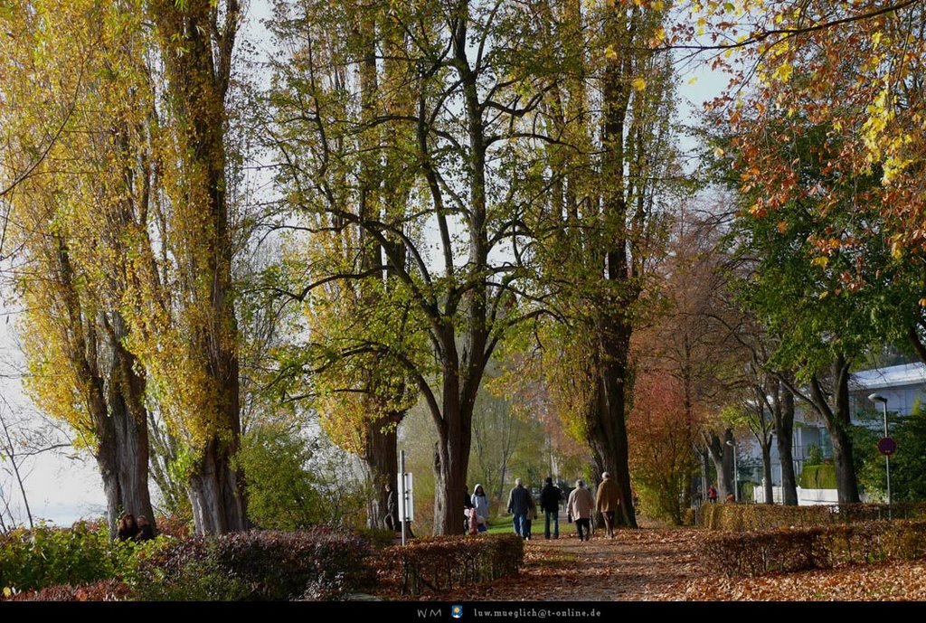 Überlingen-Promenade by walter35