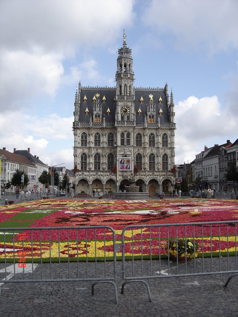 Bloementapijt voor het stadhuis oudenaarde by samco123