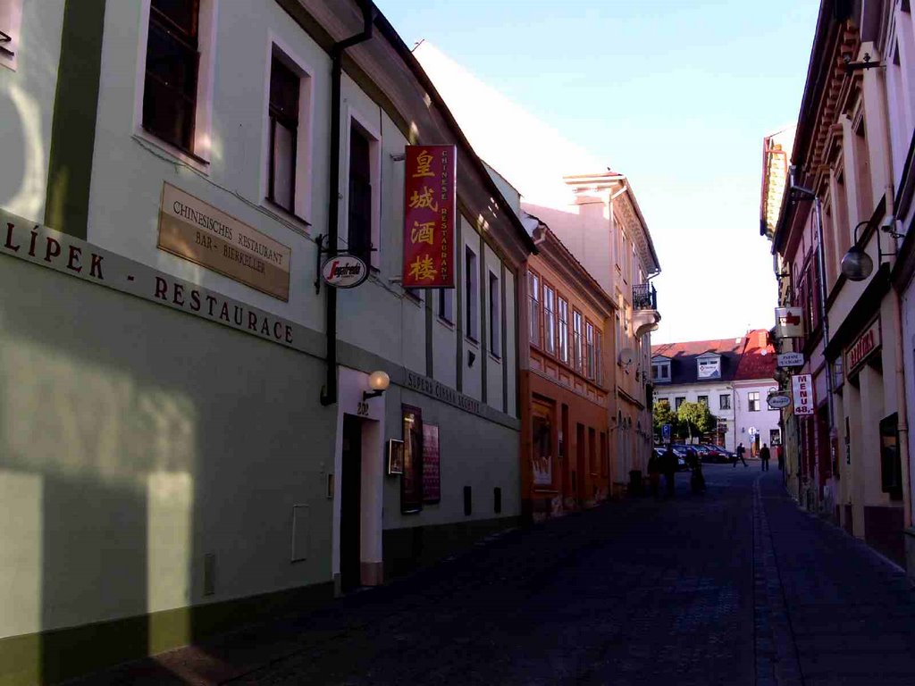 Čínská restaurace, Mariánská ulice (Chinese restaurant, Mariánská Street) by dianhong