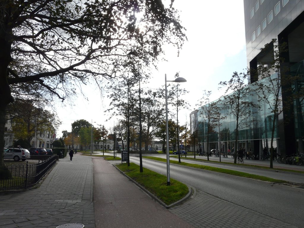 De Sophialaan, zicht op zuiden, Leeuwarden by David Jimmink