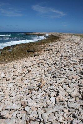 Beach & ocean north tip of Aruba by Damon Easley