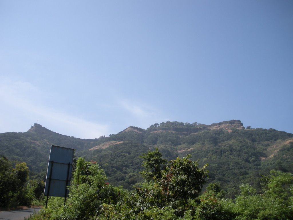 Pratapgad Fort from the way (16/11/08) by ambrish1978