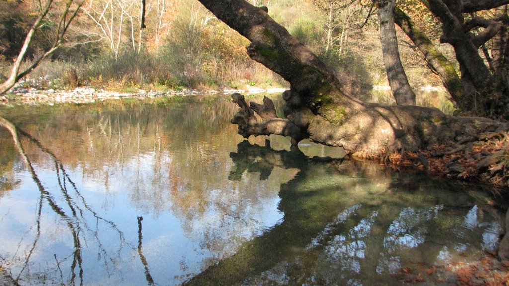 Voidomatis river by nikos-iliana