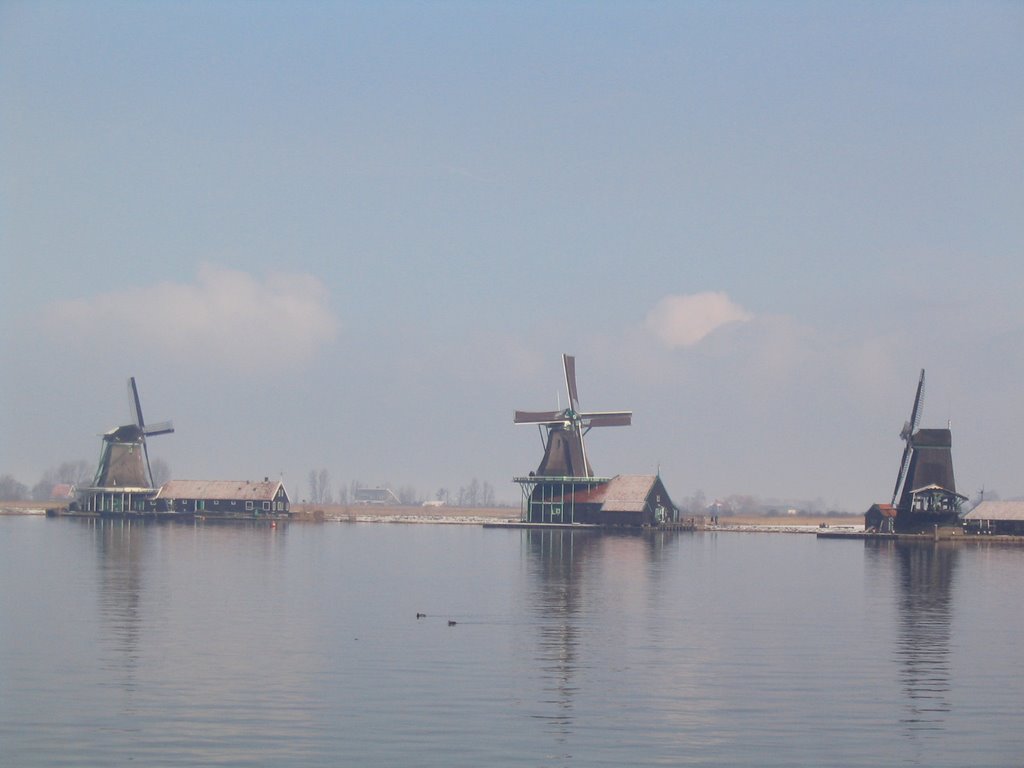 Molens kinderdijk by tinekekolder